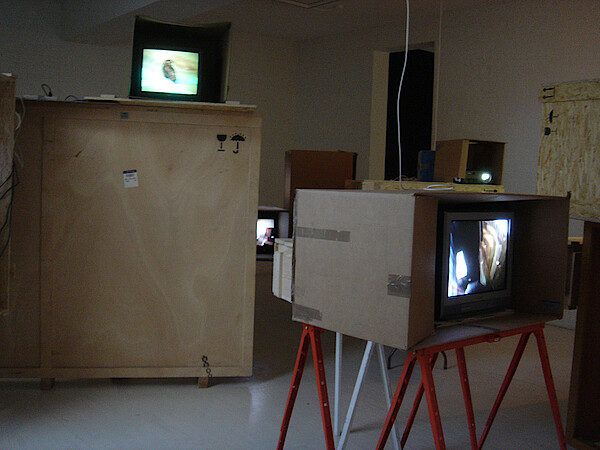 Installation views Installation views