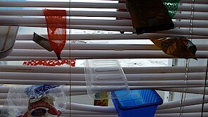 Studio Seyðisfjörður, 2008 Studio Seyðisfjörður, 2008