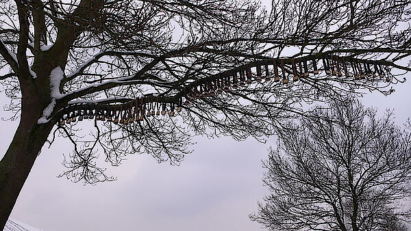 To sound sheep or: as sound as a bell, 2013 To sound sheep or: as sound as a bell, 2013